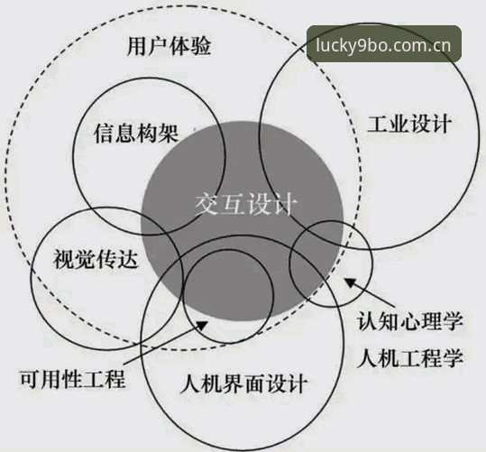 资深用户深度解析：博安卓版下载安装与9博体育平台实战经验分享
